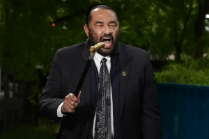 White House slams Al Green for fourth attempt to impeach Trump